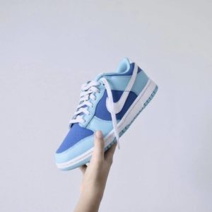 Nike Dunk Low Argon