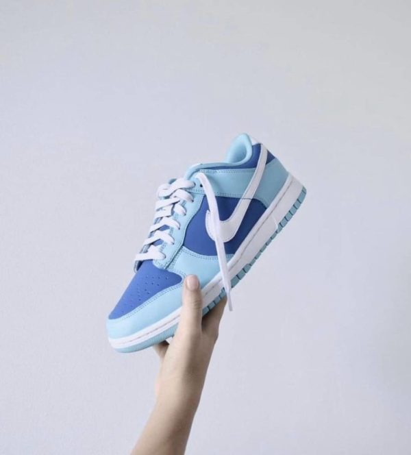 Nike Dunk Low Argon