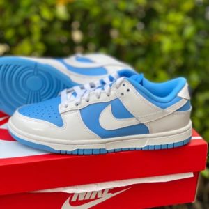 Nike Dunk Low Reverse UNC